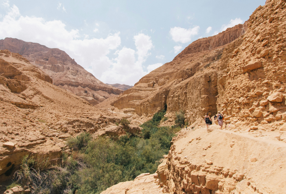 מלון לוט - אטרקציות באזור מלון לוט - נחלי רום יזרח